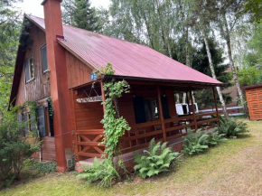 Domek Letniskowy Pod Brzozami